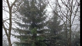 Pátrání po pohřešované Janě a jejím synkovi v Krkonoších.