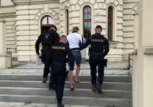 Muže (30), který v Plzni zmizel z domu s kojencem (5 měs.), poslal soud do vazby.