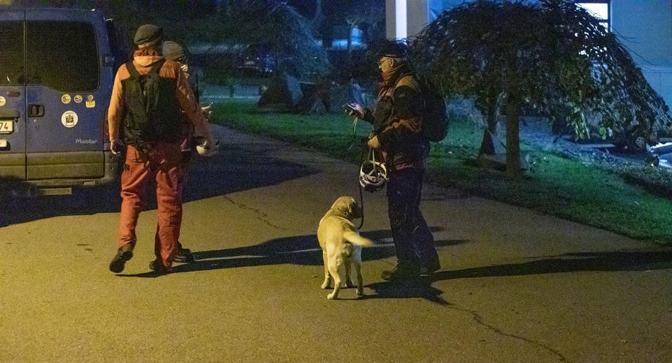 Policie pátrá po pohřešované Nine H. a Janu P. v Prokopském údo. Na místě je asi dvacet psovodů i kriminalisté z oddělení vražd.