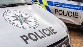 Policie pátrá po Petře Hofreiterové ze Žatce na Lounsku.