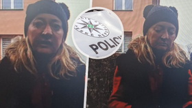 Policie pátrá po Petře Hofreiterové ze Žatce na Lounsku.