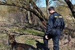 Policisté při pátrací akci