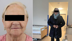 Stařenka Anna (80) se ztratila! Od pátku ji nikdo neviděl, dohledali ji až v sobotu v noci