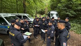 Policejní pátrání po zmizelé mamince Janě Šerjeníkové (38) z Frýdku-Místku.