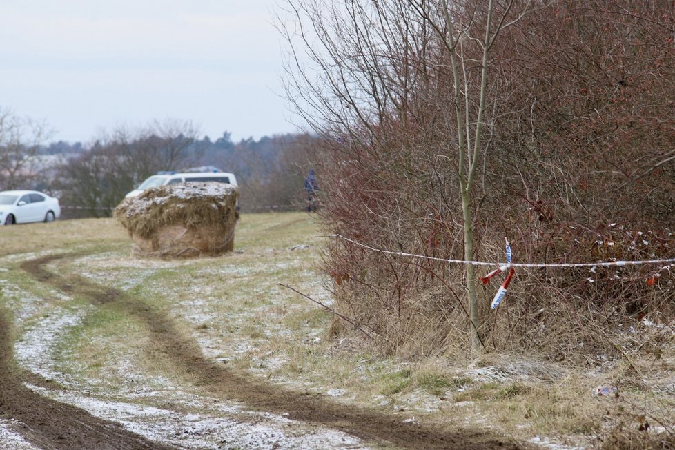Policie našla v lesích mezi Vidoulí a parkem Košíře-Motol lidské kosterní ostatky (7. ledna 2024)