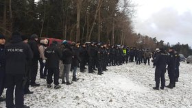 Velká pátrací akce po pohřešované ženě na Tachovsku