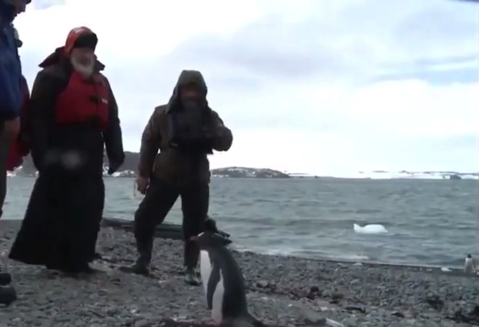 Patriarcha Kiril mezi tučňáky: Na Antarktidě sloužil mši.