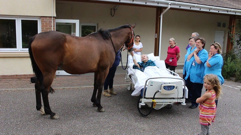 Umírající Patrick Saunders se dočkal krásného posledního přání. V hospici ho navštívil kůň.