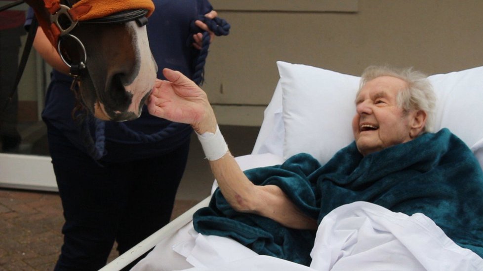 Umírající Patrick Saunders se dočkal krásného posledního přání. V hospici ho navštívil kůň.