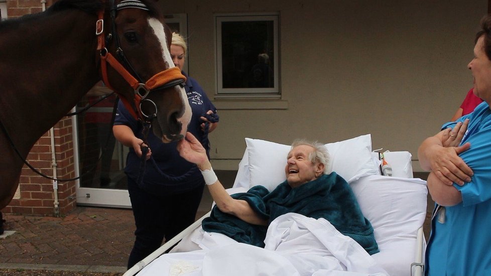 Umírající Patrick Saunders se dočkal krásného posledního přání. V hospici ho navštívil kůň.