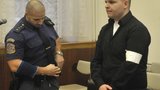 Žalobce v případu „vraždy přes kopírák“ v Mírově: Propuštění nešlo zabránit!