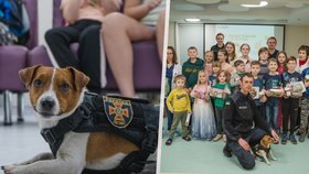 Pejsek Patron v Černihivu vyhledává výbušniny: Nyní potěšil děti v kyjevské nemocnici