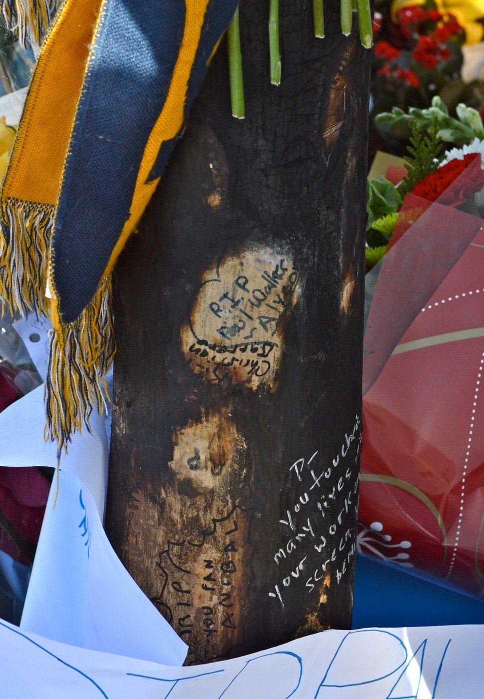Fanoušci na kmen stromu, který se stal herci osudným vyryli vzkazy.