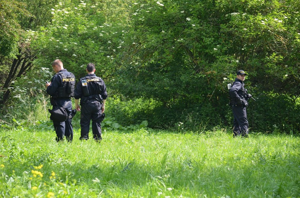 Na 300 policistů pátralo  v červnu po zmizelé Janě Paurové.