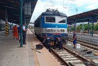Černá pasažérka: Na nádraží do Plzně přijela na podvozku lokomotivy pávice