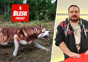 Blesk Podcast: Podcast: Strach z inflace a války? Pejsci to také cítí, říká psí psycholog