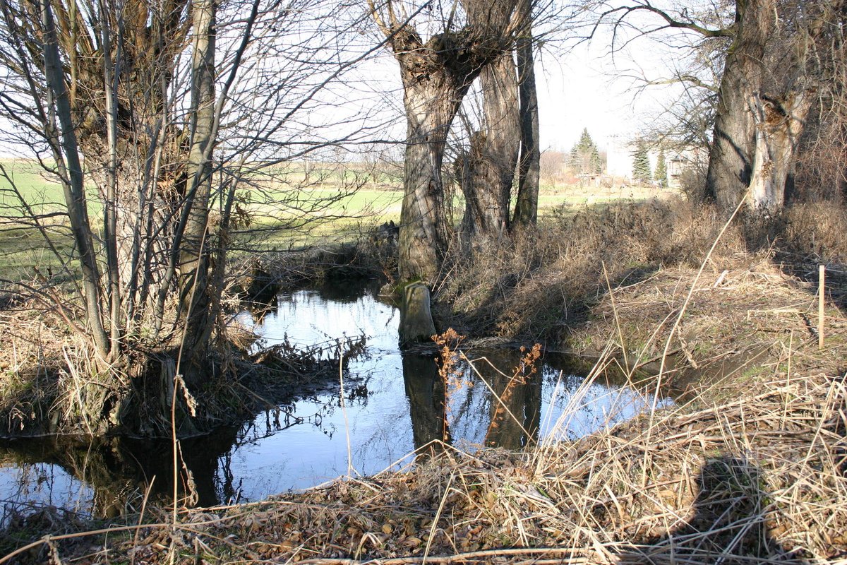 V této tůňce spočívalo na dně první dva dny tělo zavražděné Terezky.