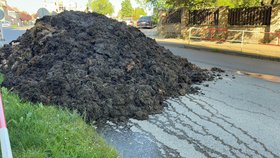 V Řeporyjích před radnici vysypali zemědělci kupu hnoje na protest proti starostovi Pavlovi Novotnému (ODS) (14.5.2024)