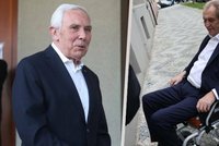 Pafka prošetřovala policie kvůli „těžce podvyživenému“ Zemanovi. Případ odložila