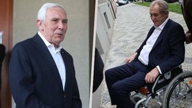 Profesor Pafko a exprezident Zeman