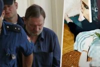 Na doživotí: Jedna z nejbrutálnějších vražd v Česku: Peca rodinu rozsekal sekerou!