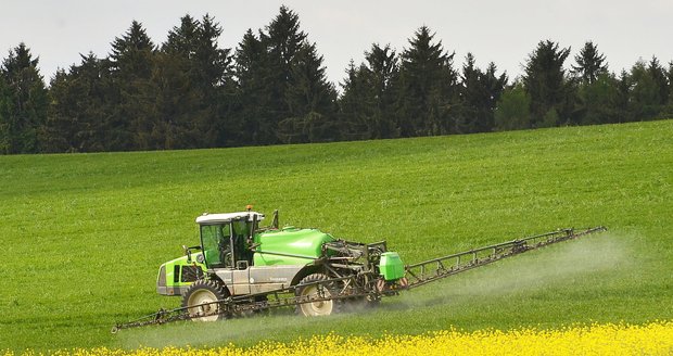 Hubí plevel, nebo lidi? Země EU prodloužily licenci kontroverznímu pesticidu