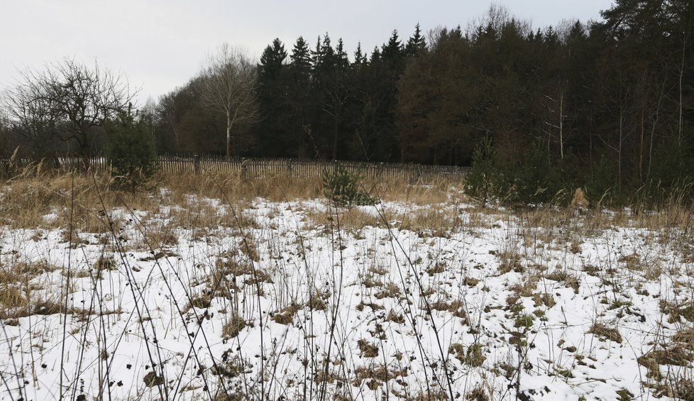 „Tady měl být tenisový kurt,“ ukazuje Pavel. Můžeme si oči vykoukat, ale všude jen neudržovaná louka. „Už jsem tam i začal kopat, ale pak z toho sešlo,“ upřesňuje náš hostitel.