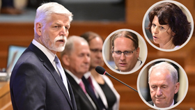 Petr Pavel "lobboval" v Senátu za své kandidáty na ústavní soudce. (31. 5. 2023)