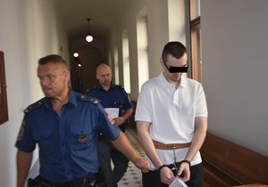 Podle obžaloby Pavel Š. vyhrožoval přítelkyni, držel jí pistoli u hlavy a chtěl po ní zasílat intimní fotografie.