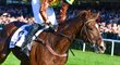 Složilův syn a úspěšný žokej ve zmínce na parte nechyběl. Složilův syn a úspěšný žokej ve zmínce na parte nechyběl.