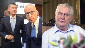 Telička: „Zeman je zapšklý a zhrzený nápadník.“ Co řekl na miliony od Bakaly?