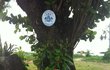 Ministr »všeckého« odpočívá pod stromem v Thajsku, na kterém je umístěn znak Valašského království.