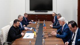 Schůzka Pavla a Zelenského: Detaily setkání popsal Blesku vládní zmocněnec pro Ukrajinu!