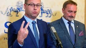 Žalobce Pavel Zeman: Nezávislost zastupitelství by garantovala změna ústavy.