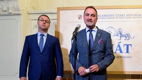 Žalobce Pavel Zeman: Nezávislost zastupitelství by garantovala změna ústavy.