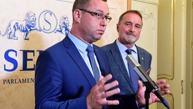Žalobce Pavel Zeman: Nezávislost zastupitelství by garantovala změna ústavy.