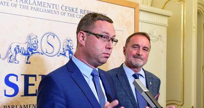 Žalobce Pavel Zeman: Nezávislost zastupitelství by garantovala změna ústavy.