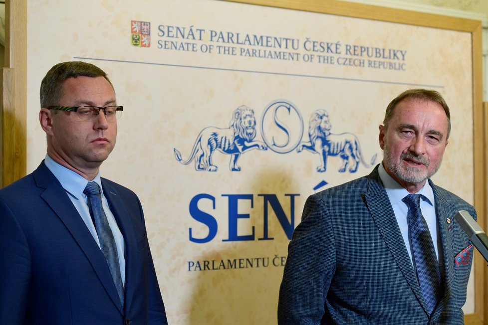 Žalobce Pavel Zeman: Nezávislost zastupitelství by garantovala změna ústavy.