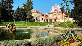 Pávi zmizeli ze zámeckého parku v Klášterci nad Ohčí, nový domov našli na Horním Hradě.