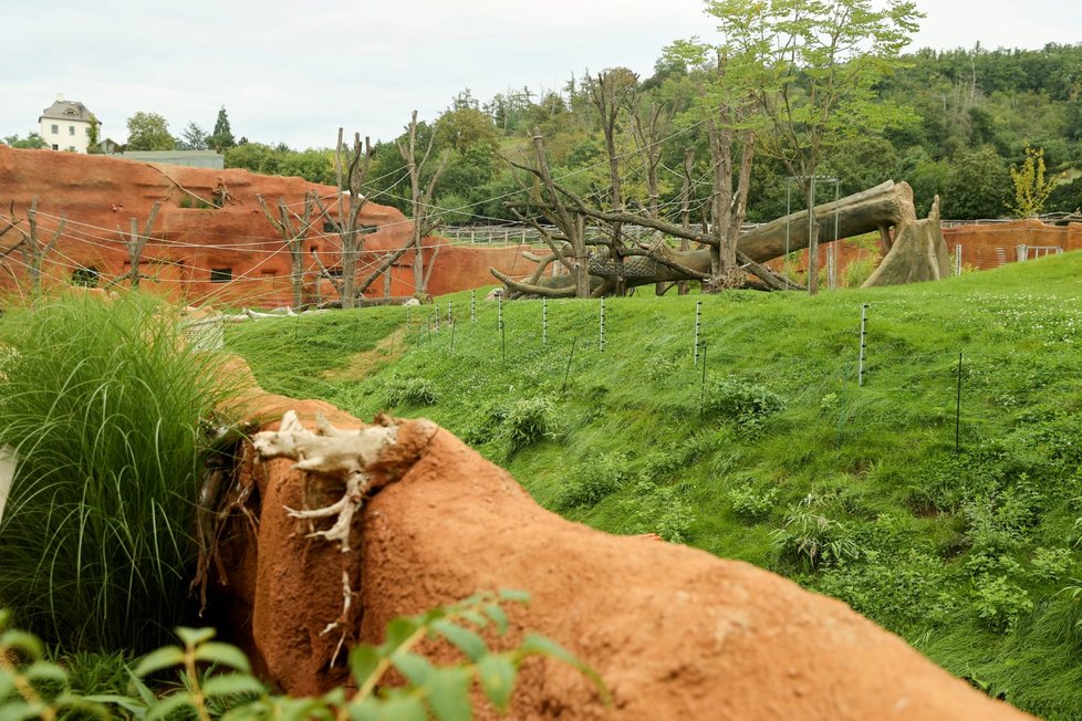 Nový pavilon goril v pražské zoo s názvem Rezervace Dja, 21. září 2022.