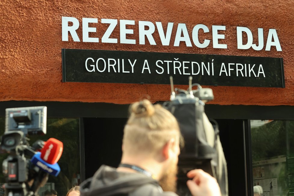 Nový pavilon goril v pražské zoo s názvem Rezervace Dja, 21. září 2022.