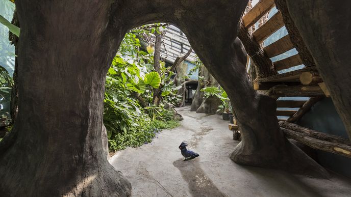 Uvnitř pavilonu se nachází osm různých expozic – dvě voliéry, z nichž jedna je průchozí, vnitřní volně přístupný tropický skleník a pět kukátkových expozic.
