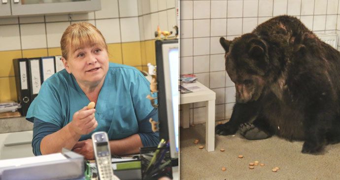 Hvězda seriálu Krejzovi Tomicová: Krotila nadrženého medvěda!