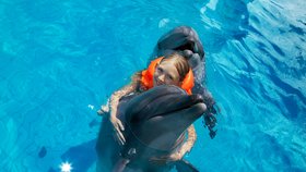 Od delfifinoterapie si rodina hodně slibuje.