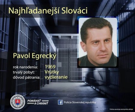 Elitní policisté vykopali lidské ostatky: Údajně patří jednomu z nejhledanějších mafiánů!