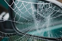 Řidička se vybourala v protisměru: Lekla se pavouka v autě