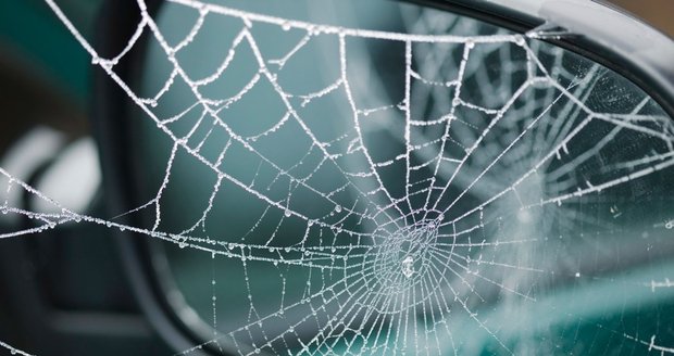 Ženu vyděsil pavouk ve voze, sjela proto v zatáčce do protisměru