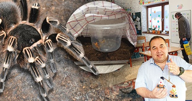 Zavřená škola, zavřená družina a všichni v pohotovosti. Hrádek na Jablunkovsku úplně ochromil sklípkan.