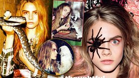 Nechutné: Modelka s živým chlupatým pavoukem na obličeji!