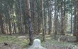 Děsivou scenerii našel v lese okolo Kraslic na Sokolovsku.